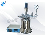 实验室反应釜1